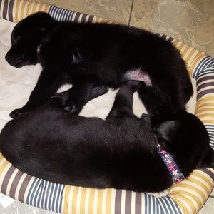 Meet your Posher, Berta